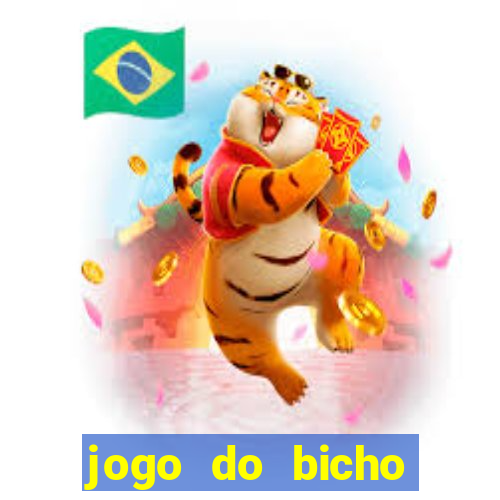 jogo do bicho crash bingo